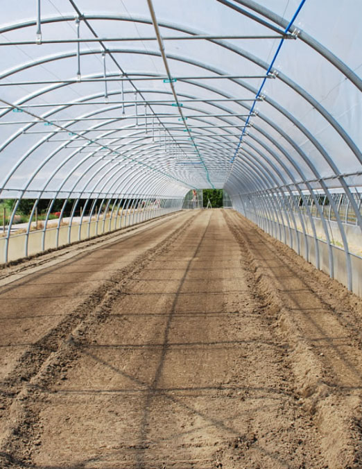 Tunnel curvi